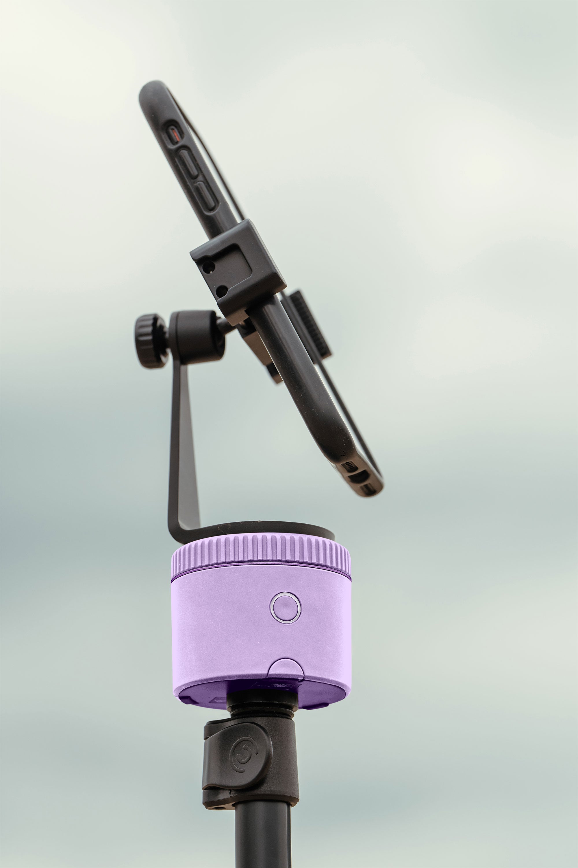 Pivo Equestrian Lite Purple FEI Official Store