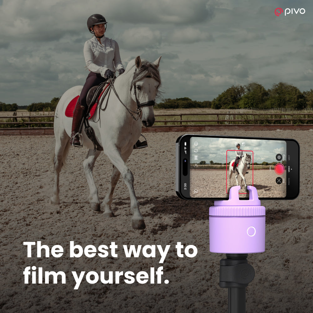 Pivo Equestrian Lite Purple