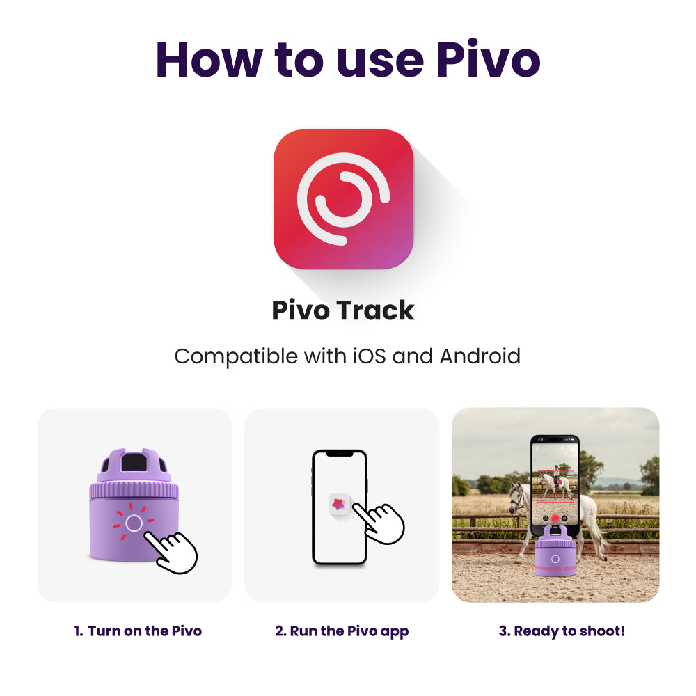 Pivo Equestrian Lite Purple