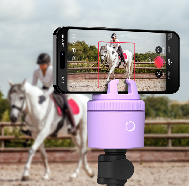 Pivo Equestrian Lite Purple FEI Official Store