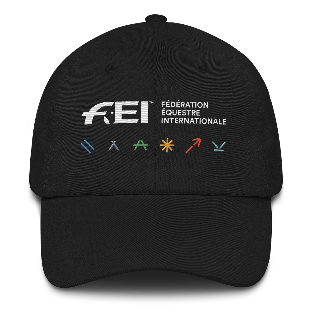 FEI Embroidered Pictogram Cap FEI Official Store
