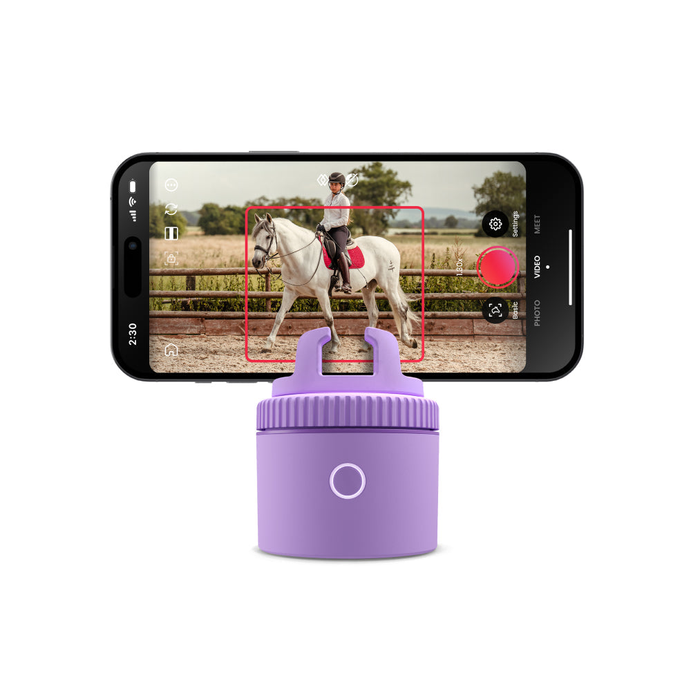 Pivo Equestrian Lite Purple FEI Official Store