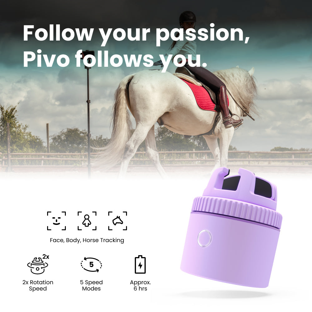 Pivo Equestrian Lite Purple FEI Official Store