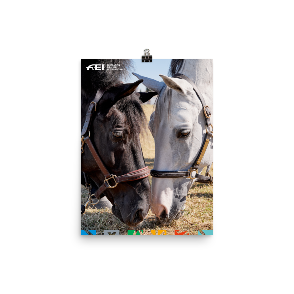 FEI Horse Print 12″×16″ FEI Official Store