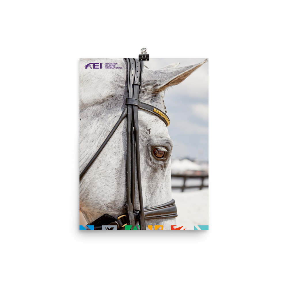 FEI Horse Print 12″×16″ FEI Official Store