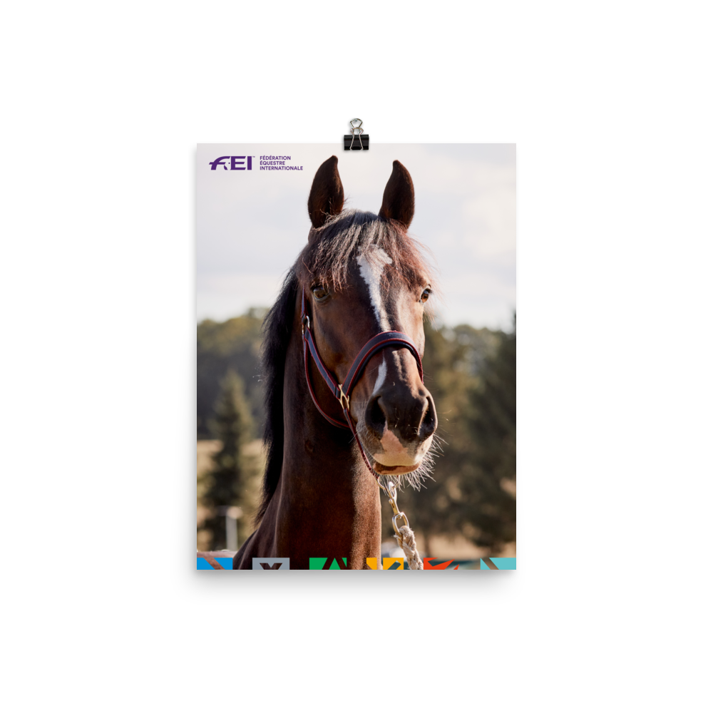 FEI Horse Print 12″×16″ FEI Official Store